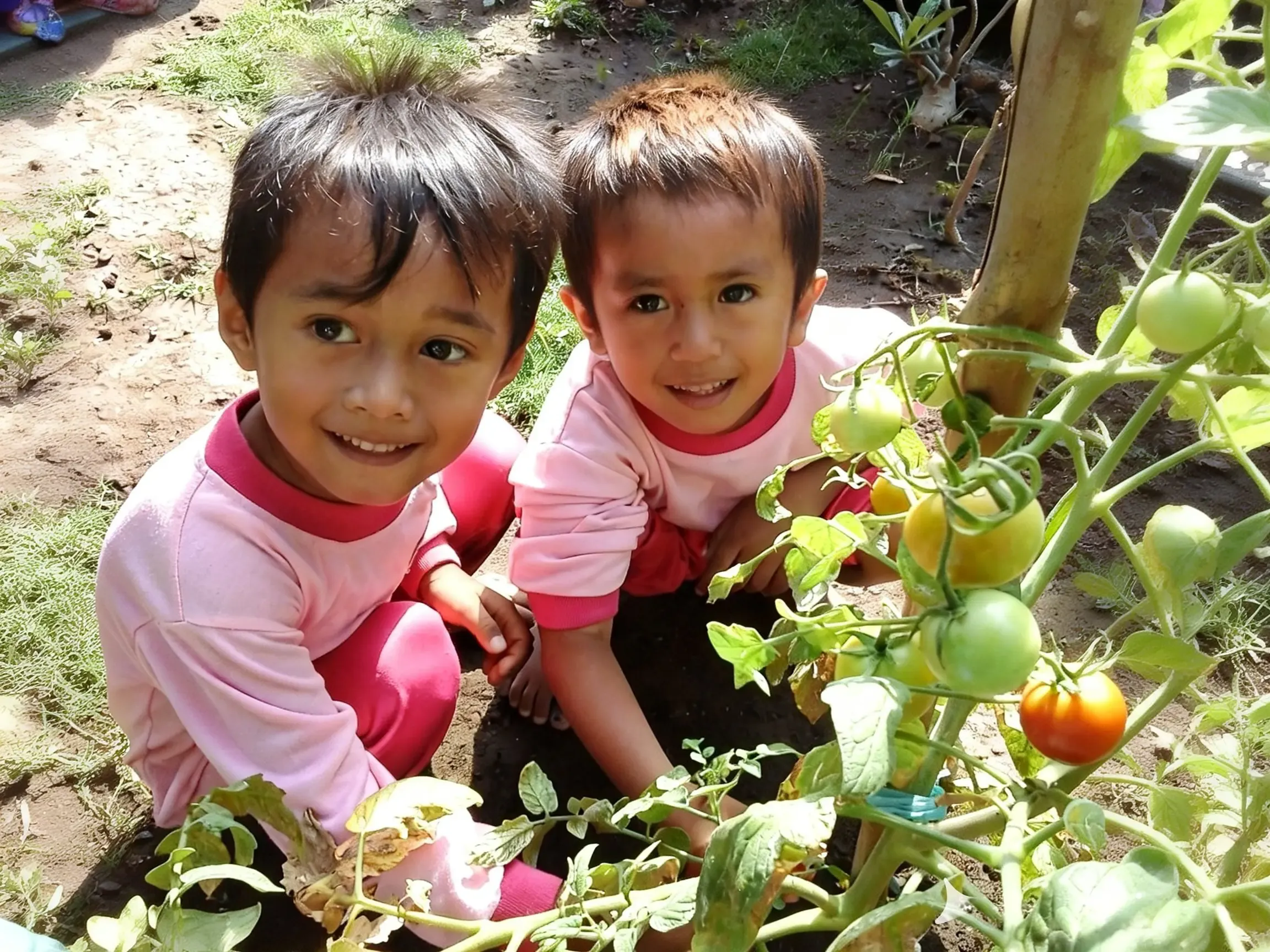 Kelompok Bermain (KB)